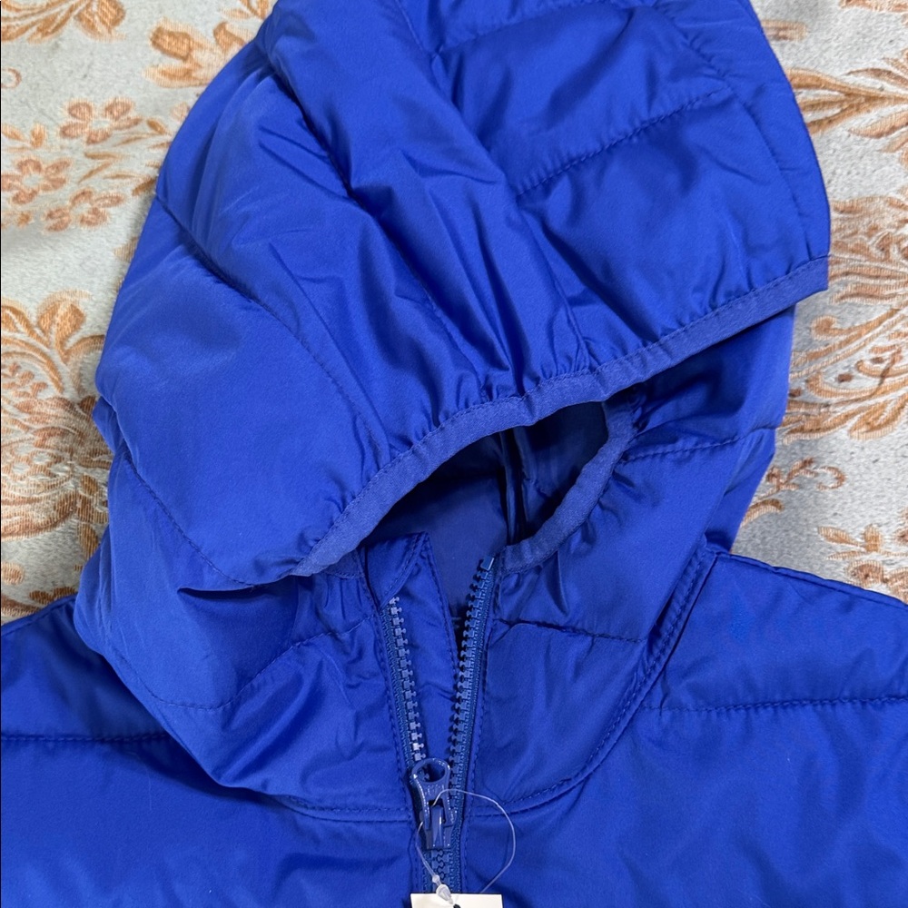 BNWT GAP Kids Vibrant Blue Puffer Jacket with Hood - Picture 3 of 12